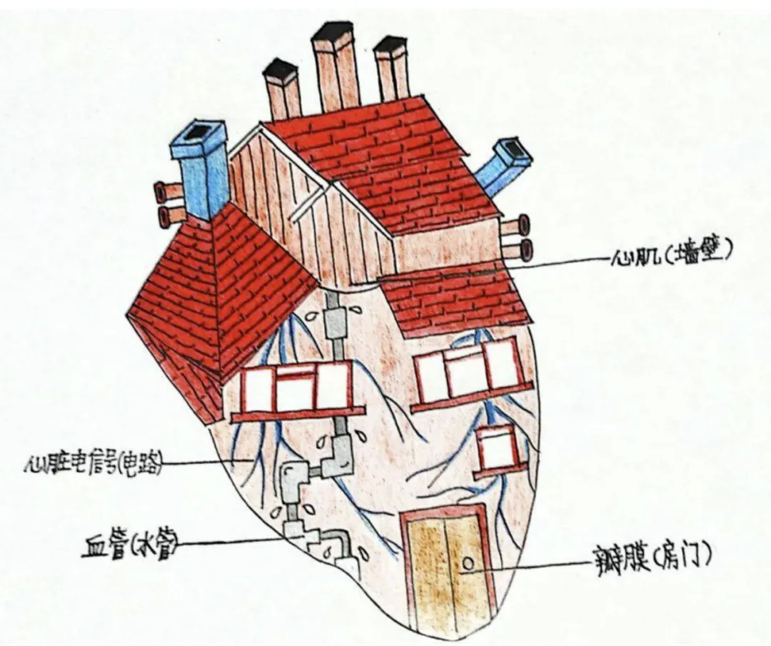 138010952168ccb0bcf0e10.png